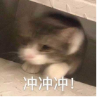 美容|月入3000打工族敢入手大牌护肤品？看看她们都在用什么