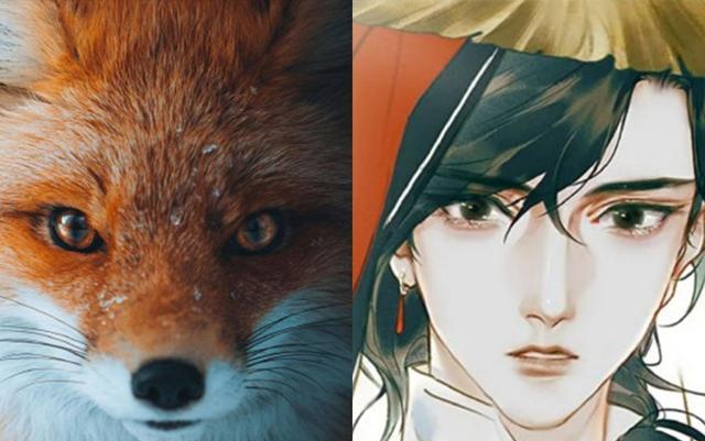 狐狸|《天官赐福》花城像小狐狸,笑起来好可爱,快点开口喊哥哥!