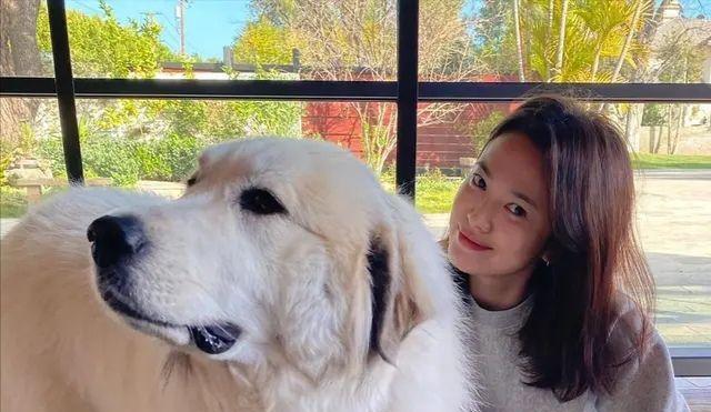 宋慧乔|宋慧乔不惧衰老，晒生图皮肤变松弛，运动服却还能撑出清纯感