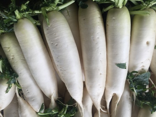 葡萄干|冬吃萝卜夏吃姜,萝卜虽好,2类人却不宜多吃,请予以重视