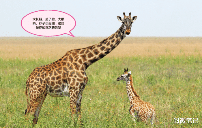 阅微笔记 古代人的审美真是太奇怪了，你们觉得呢？