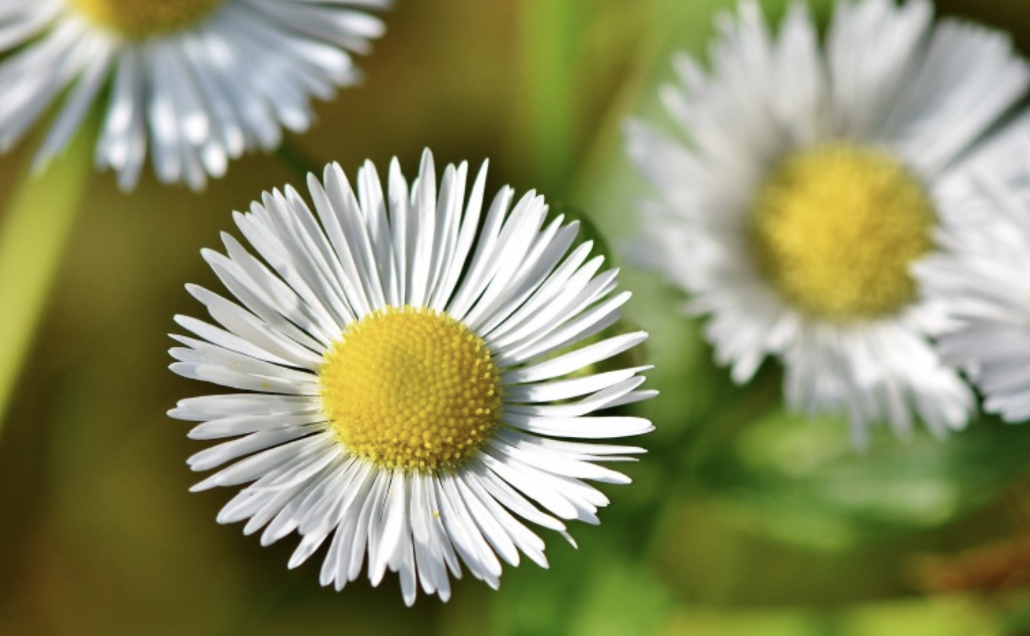 生肖夜梦|9月,熬过霉运,好运上门,贵人相助,3生肖翻身在即,天赐鸿运