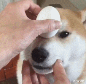 千万别在手机上搜索见不得人的东西!真的是太尴尬了...