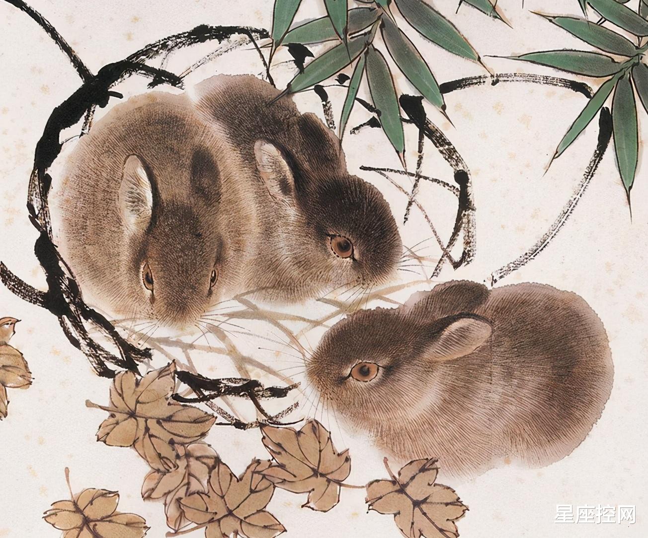 生肖|今年一整年福气不离，贵人不弃的3个生肖，从年初到年尾如鱼得水