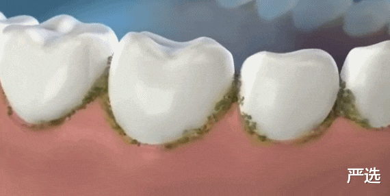 严选 牙膏行业还有国产吗？中华牙膏姓“中”，却“被迫”与英国人分钱