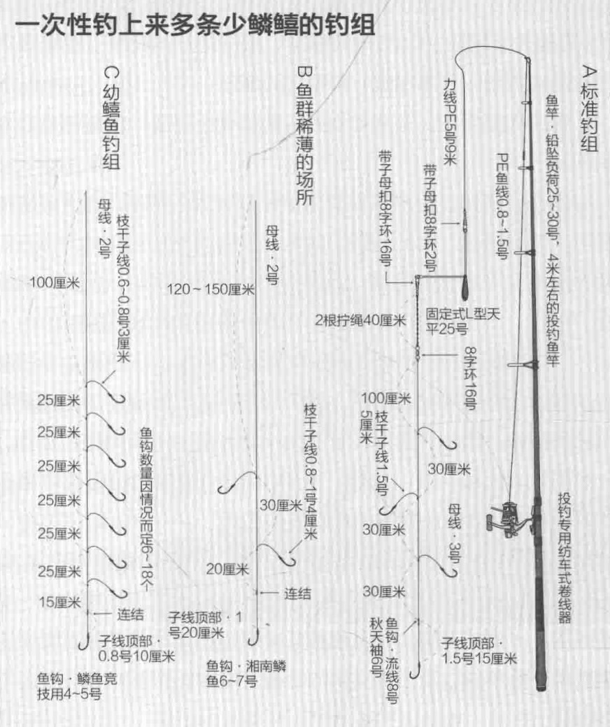 泰拉瑞亚|一通百通海钓少鳞鱚钓法大全【日本专业海钓入门投钓书籍】字多藏
