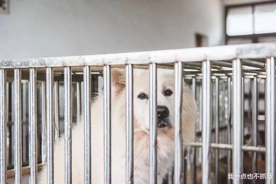 萧敬腾|萧敬腾上亿豪宅曝光后，我却看到了这个和尚