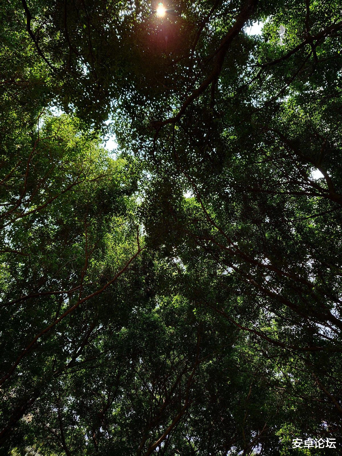 西安地铁 索尼微单手机Xperia 1 III评测：特立独行的索尼，终于又有了看头