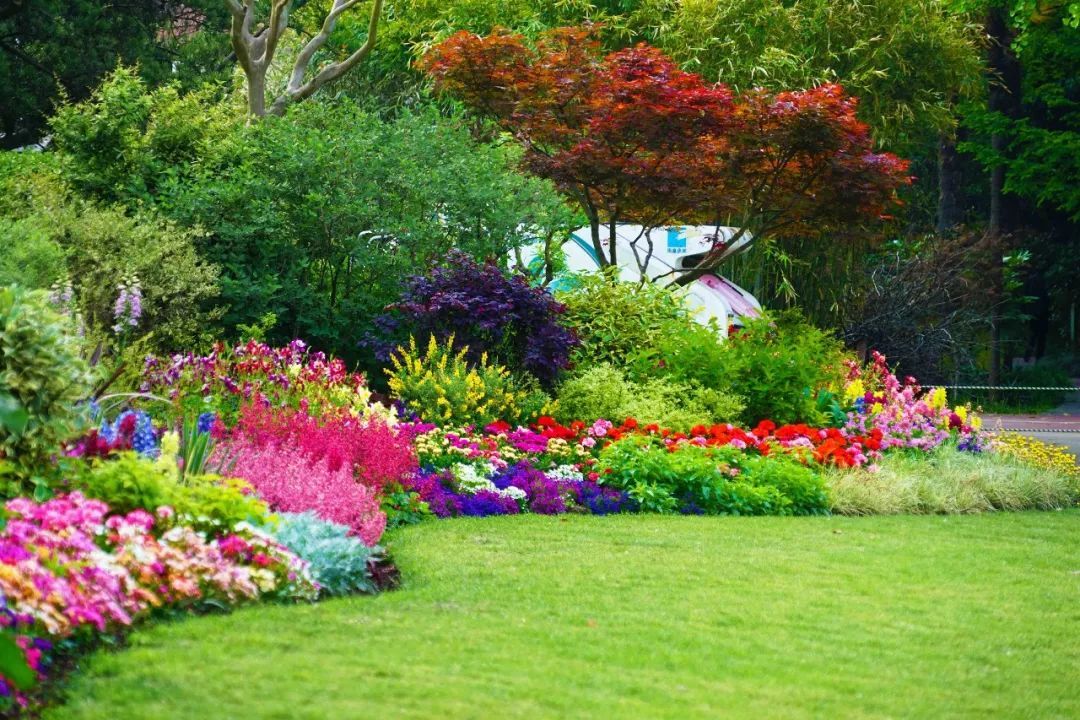 打造一块花境需要注意些什么?花境设计要求有哪些?