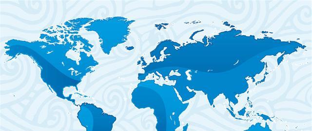 高等教育自学考试|自考本科含金量不如统招专科？这两者到底有哪些差别