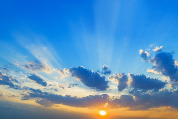 微生物 天空为什么是蓝色的？动物为什么会打哈欠？它们认路本领哪里学的