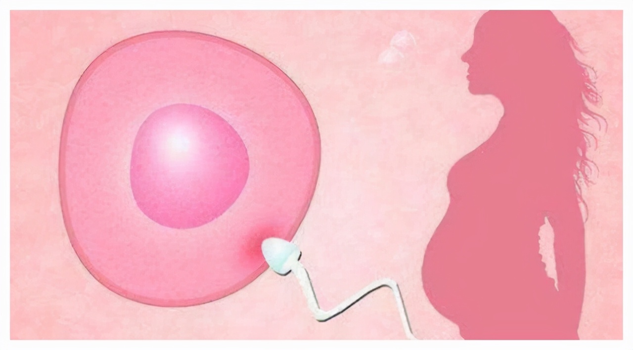 为何哺乳动物大多都有发情期,而人类不仅没有,还隐藏了排卵期?