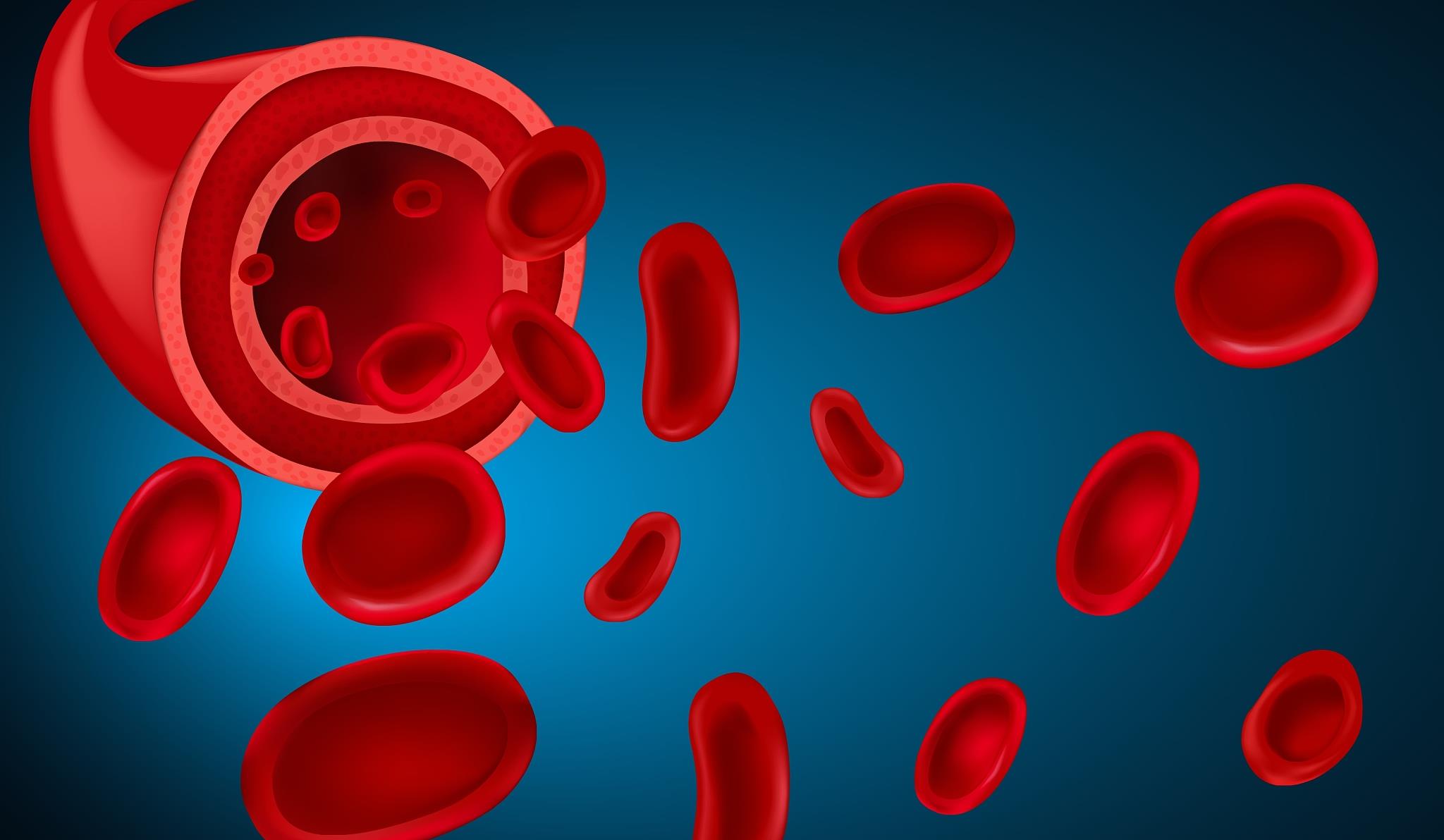 无为二哥谈养生|双相情感障碍会遗传吗?双相情感障碍可能和这四点有关