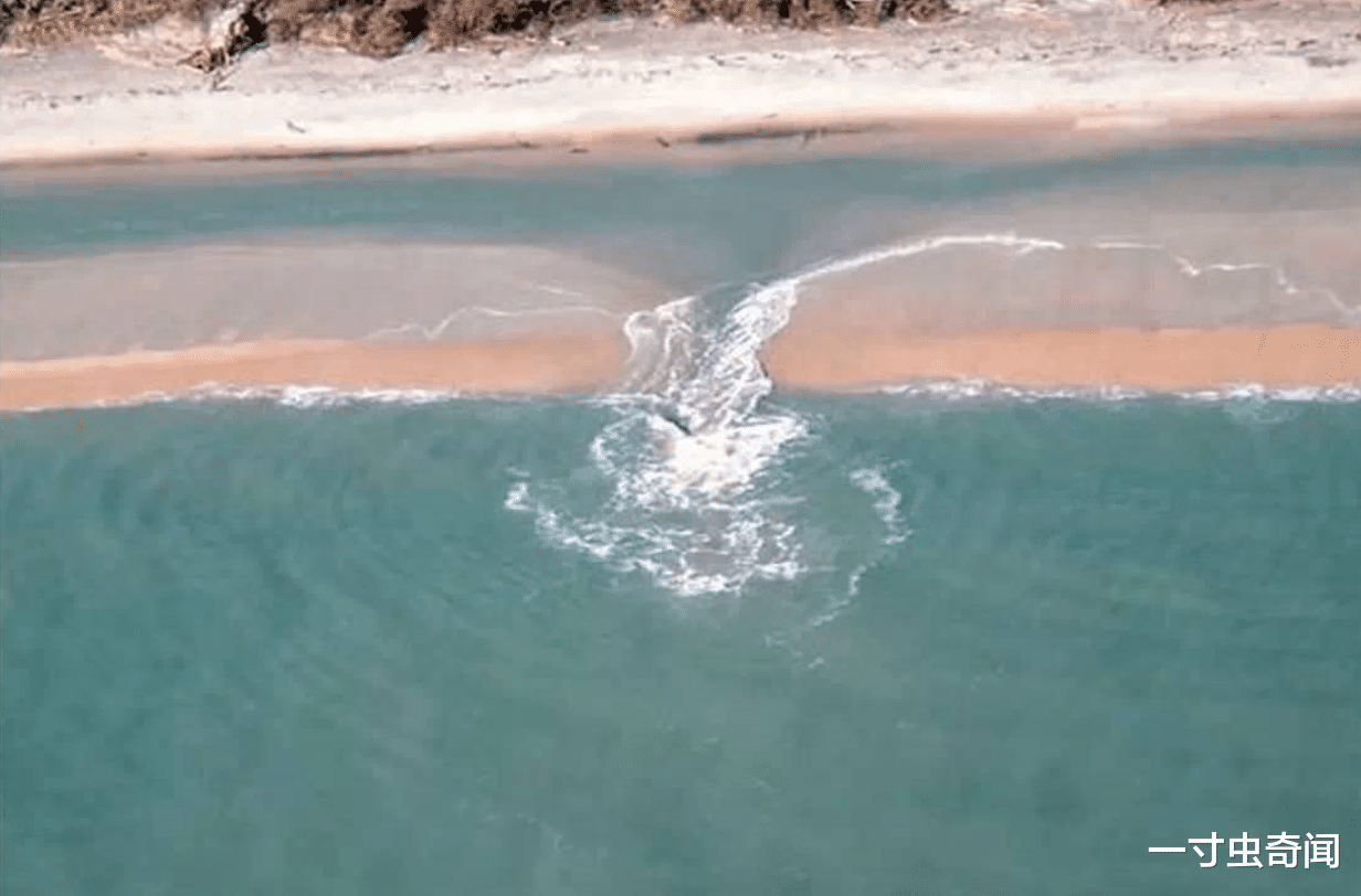一寸虫奇闻|福建17人落水11人死亡,平静海面暗藏杀机?罪魁祸首或为离岸流