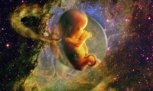 太空 揭秘美国“太空宝宝”实验！夫妻太空共同度过百天，真相终于公布