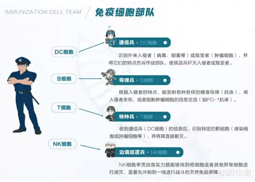 car-t 120万，CAR-T细胞疗法如何在中国落地