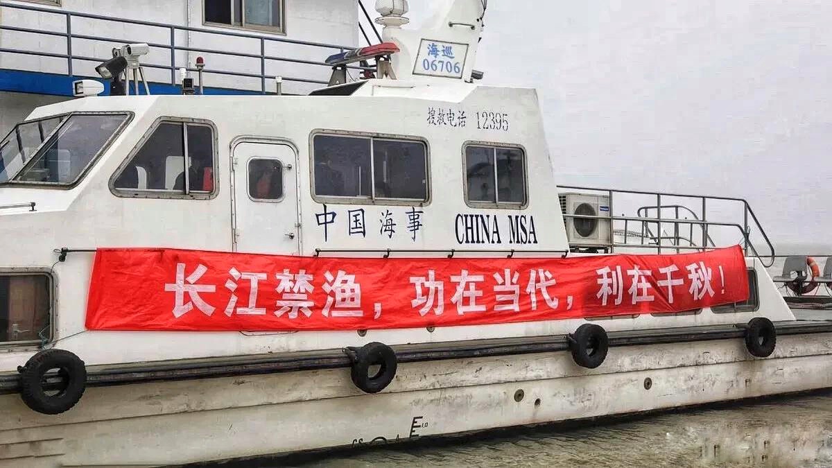 巴顿|多起违规垂钓事件被渔政部门处罚，钓鱼人下竿前该如何避坑？