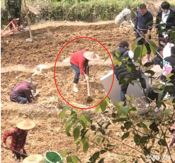 赵丽颖|赵丽颖演技又被吐槽？演农民刨地有气无力，其实细节都在她的手上