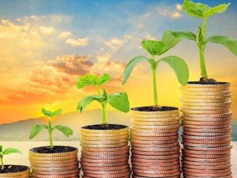 职业教育|中国股市：为何散户为什么赚不到钱？股市里赚钱，具备什么条件？