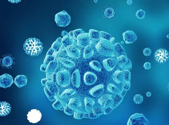 间充质干细胞外泌体是一种潜在的癌症生物疗法，中科西部干细胞研究院