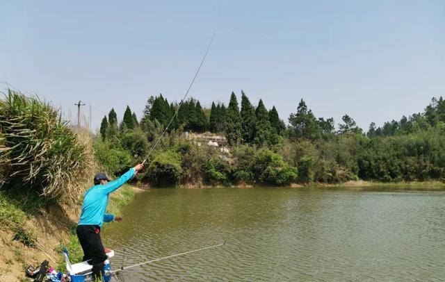 李大毛|李大毛坐抛8.1米是怎么做到的？长竿钓鱼是体力活还是技术活？