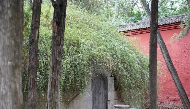 阿毛集结站 河南新晋的网红城市，藏着一座1900多年的古寺，可看到东汉的遗物