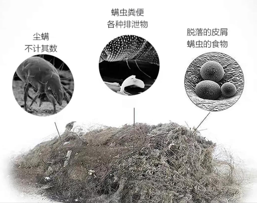 快过年了，这4样“家居好物”建议备齐，让家务事半功倍！