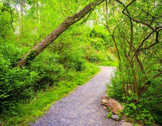  SCI论文发表期刊影响因子要求高吗？