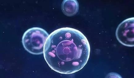 UFO 波罗的海91米海底的“UFO残骸”是什么，答案可能让你失望了