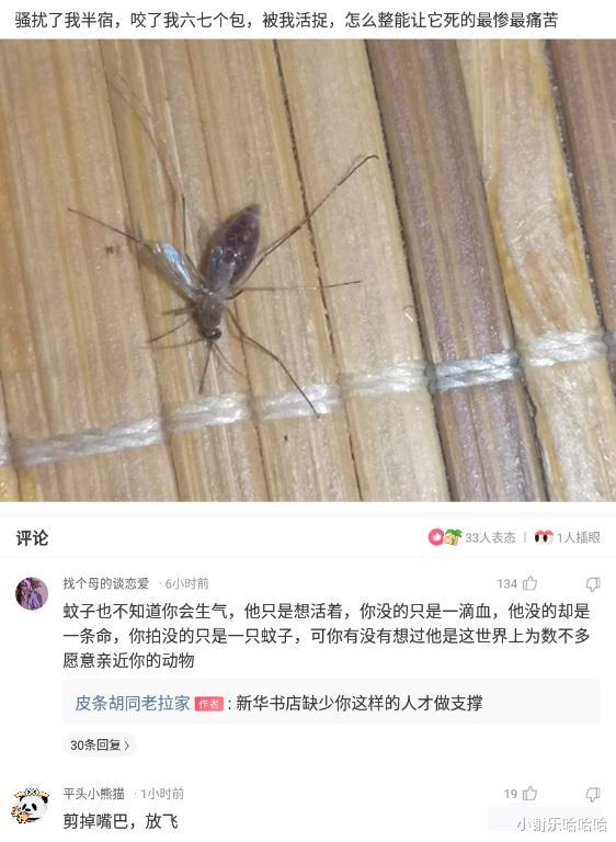 神回复|神回复：西医叫我不要用力，中医让我多活动，我该相信谁呢？