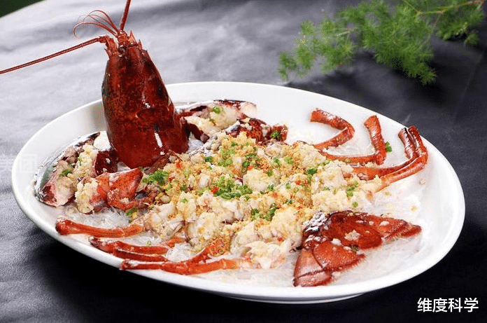 基因 龙虾有可能“永生”，凭什么人类不行？专家：人体缺少这种酶！