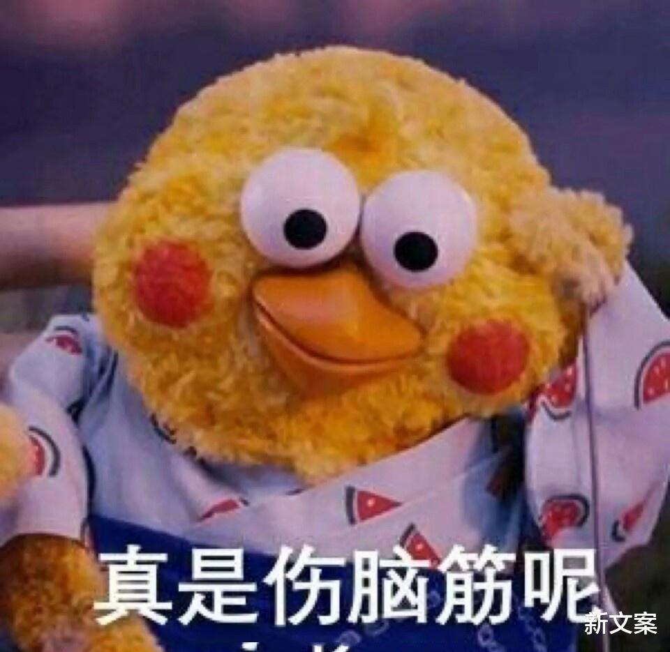 |各个专业的大学生以后适合啥工作？哈哈，网友评论孝死我了