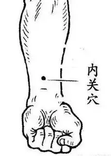 穴位|详解人体各穴位位置及功效!