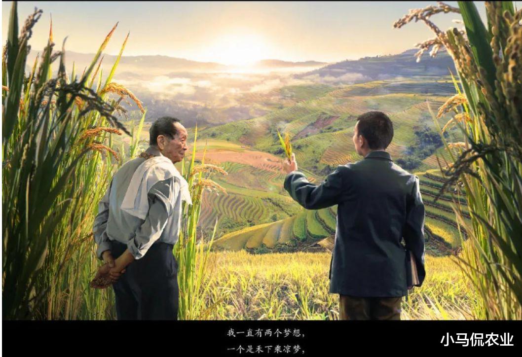 女子凭借一把小刀嫁接小苗月入万元,西瓜长在南瓜上,你愿意干吗