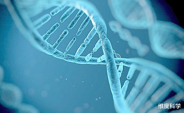 硅基生物是碳基生物创造出来的吗?未来人类是否会变成硅基生命?