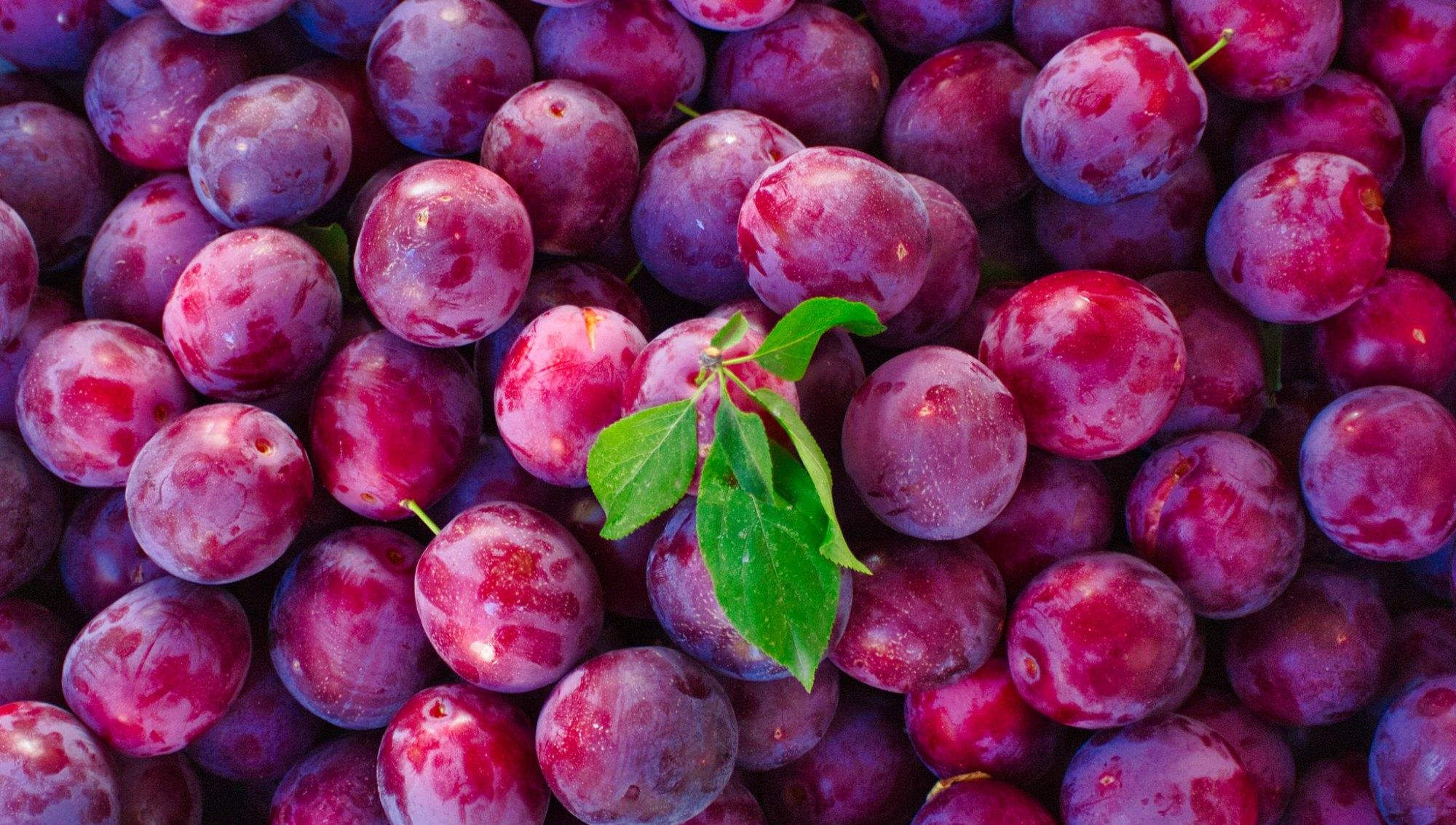 长脖子爸比说|四川重庆是一家：除共同热爱的火锅外，这道夏天美食也拒绝不了