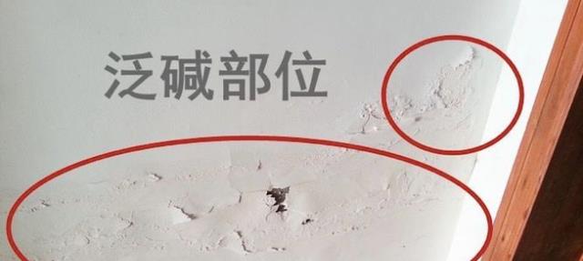 阳台养花匠|腻子粉到底要不要加胶水？老漆工表示：这是行规