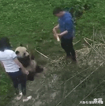 面条|“你和我在一起是不是为了睡我”
