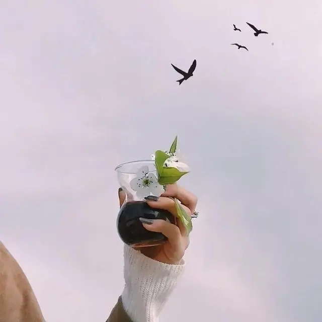 情感语录生活感悟|2021年早安阳光语录，句句经典，一见倾心！