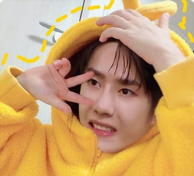 王一博|营业了！王一博官宣博换头像，喜提热搜，幼崽模样逗趣可爱