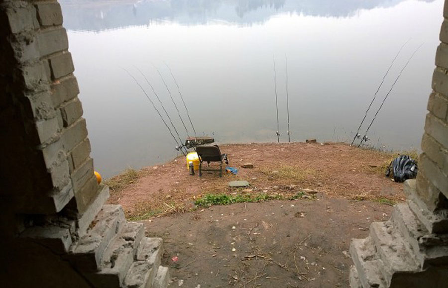 饵料|本以为钓鱼是虚度光阴，却让我感悟了不少人生