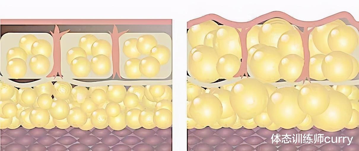 完美日记 汗水是脂肪的眼泪？励志的话有时也不靠谱，减肥就要讲科学