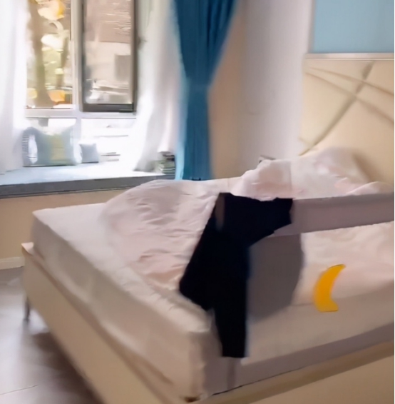 谢孟伟|谢孟伟为啥一心想当大网红？看看他的豪宅吧，这就是现实！