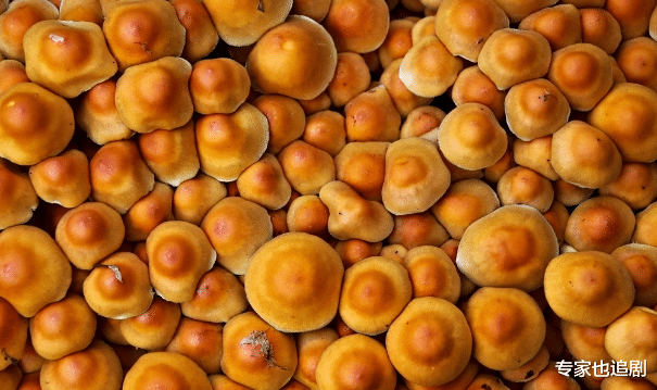 |在孩子面前秀恩爱，你敢吗？