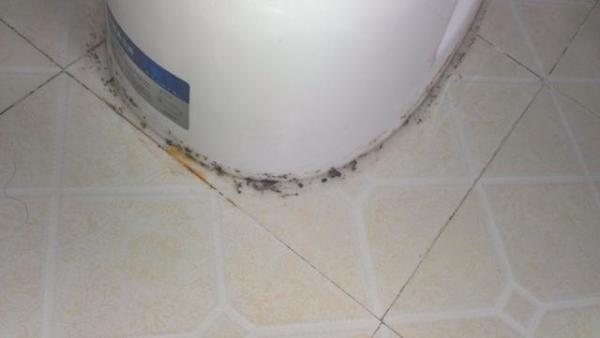 去闺蜜家才知道,卫生间不一定要大!学她家这布置,那叫一个高级!