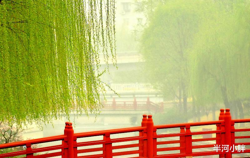 半河小胖 记今年的第一场春雨