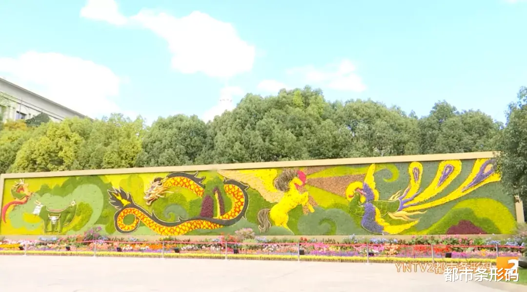 安徽 惊艳！长达50米3D花墙横空出世，就在昆明