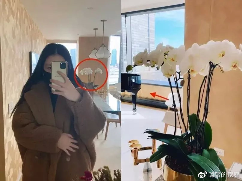 李咏|李咏去世2年后，妻女生活境况曝光：传闻中的2亿遗产，比不上这笔财富