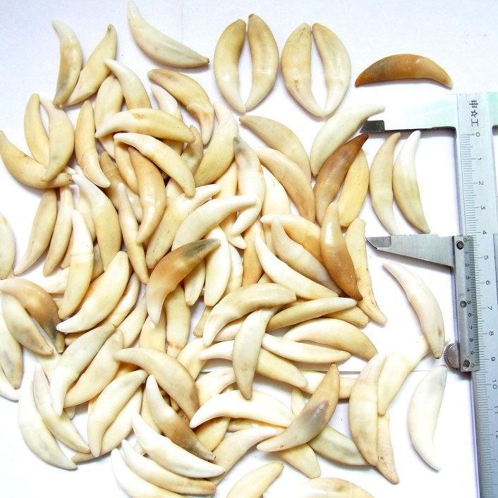 家中卧室万万要放上这几样东西,有钱人都知道,难怪越住越有钱