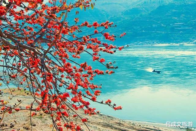 攀枝花 四川再现“养老宝地”，气候舒适景色美，被人戏称为“移民城市”